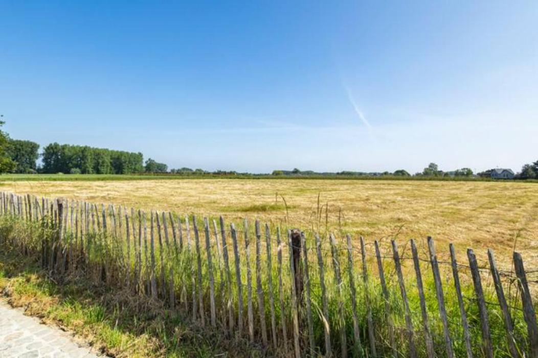 Burgemeestershof Wetteren Dış mekan fotoğraf